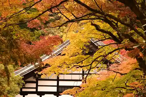 南禅寺(京都府)