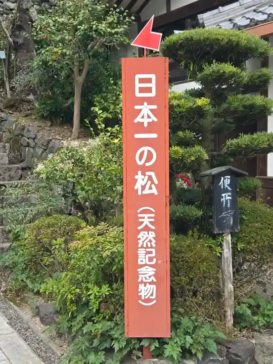 善峯寺の{uncategorized: "未分類", other: "その他", undefined: "問題あり", building: "その他建物", grave: "お墓", sacred_gate: "鳥居", guardian: "狛犬", statue: "像", buddha: "仏像", history: "歴史", nature: "自然", garden: "庭園", animal: "動物", pagoda: "塔", temizu: "手水舎", mountain_gate: "山門・神門", sanctuary: "本殿・本堂", subordinate: "末社・摂社", art: "芸術", scenery: "景色", jizo: "地蔵", ema: "絵馬", goshuin: "御朱印", omikuji: "おみくじ", items: "授与品その他", amulet: "お守り", goshuincho: "御朱印帳", eats: "食事", festival: "お祭り", votive_dance: "神楽", shichigosan: "七五三参", wedding: "結婚式", experience: "体験その他", initially: "初詣", around: "周辺", anti_infection: "感染症対策"}