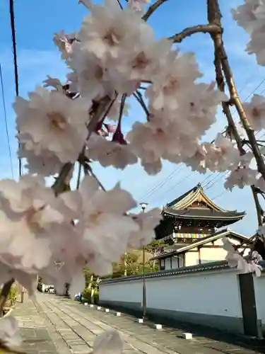 西住院(京都府)