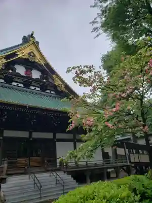妙法寺(東京都)