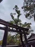 明治神宮(東京都)