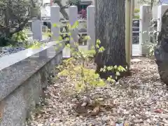 總社 和田八幡宮の自然