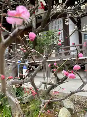 観音院(兵庫県)
