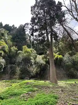 浅井神社(富山県)