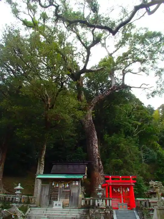 烏止野神社の自然