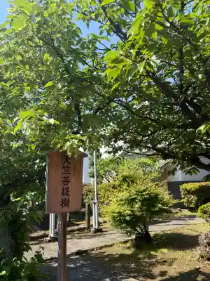 長久寺の{uncategorized: "未分類", other: "その他", undefined: "問題あり", building: "その他建物", grave: "お墓", sacred_gate: "鳥居", guardian: "狛犬", statue: "像", buddha: "仏像", history: "歴史", nature: "自然", garden: "庭園", animal: "動物", pagoda: "塔", temizu: "手水舎", mountain_gate: "山門・神門", sanctuary: "本殿・本堂", subordinate: "末社・摂社", art: "芸術", scenery: "景色", jizo: "地蔵", ema: "絵馬", goshuin: "御朱印", omikuji: "おみくじ", items: "授与品その他", amulet: "お守り", goshuincho: "御朱印帳", eats: "食事", festival: "お祭り", votive_dance: "神楽", shichigosan: "七五三参", wedding: "結婚式", experience: "体験その他", initially: "初詣", around: "周辺", anti_infection: "感染症対策"}