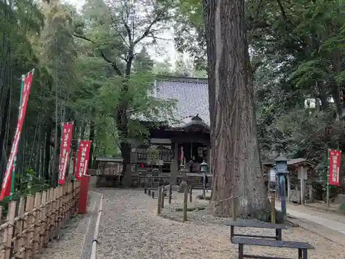 野津田薬師堂(福王寺)(東京都)