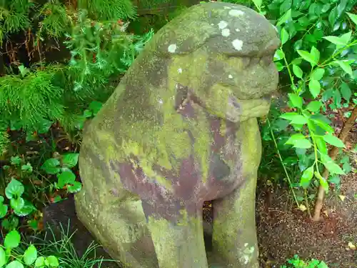 越谷香取神社の狛犬