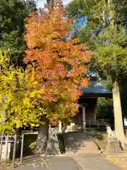 鹿島台神社の自然