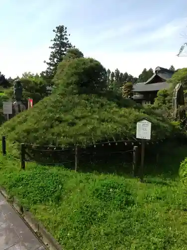 大聖寺（土浦大師不動尊）の庭園