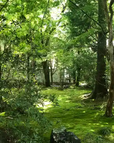 蓮華寺（洛北蓮華寺）のその他建物