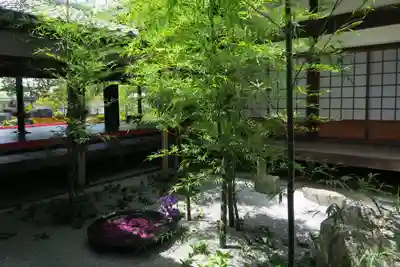 西来院(京都府)