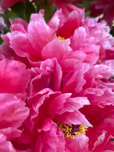 薬師院(兵庫県)