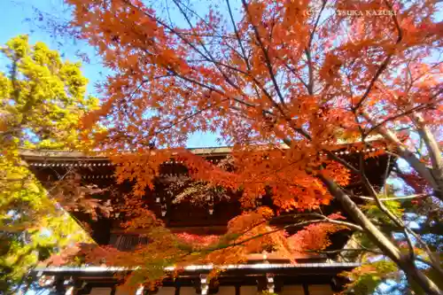 東漸寺(千葉県)