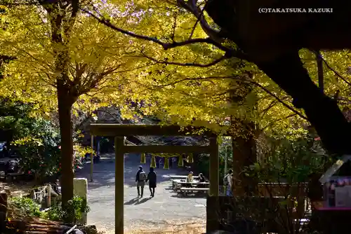 葛原岡神社の鳥居