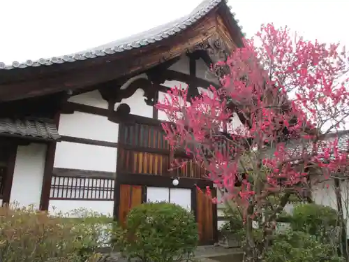 大法院(京都府)