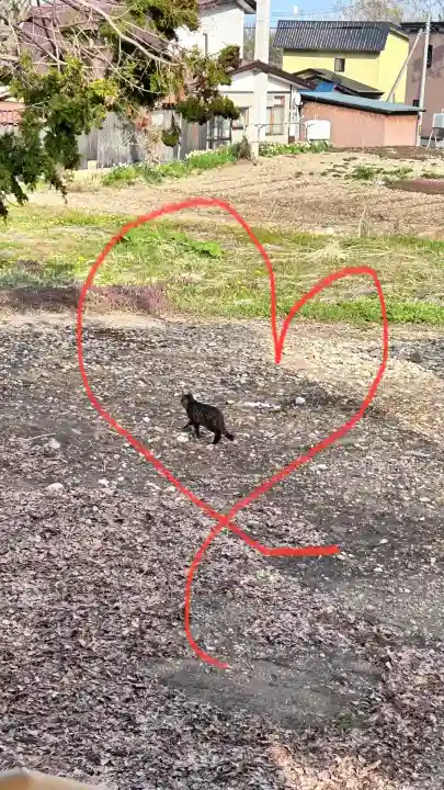 古泉神社(北海道)