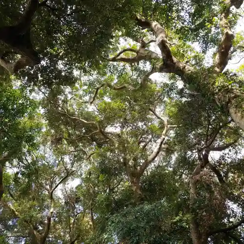 椿神社の景色