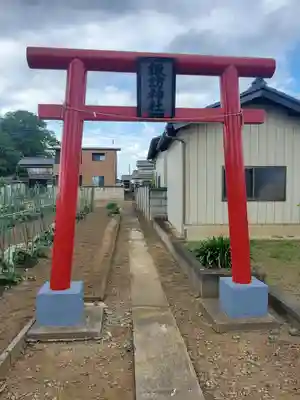 諏訪神社（今泉）(埼玉県)