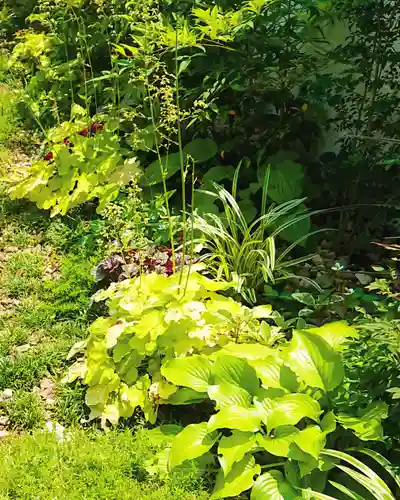 寿量山　速成寺(奈良県)