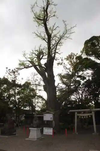 大宮神社(千葉県)