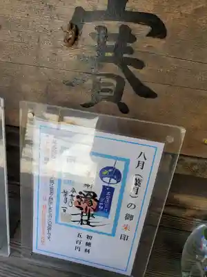 セミの脱け殻発見。
