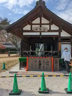 賀茂別雷神社（上賀茂神社）(京都府)