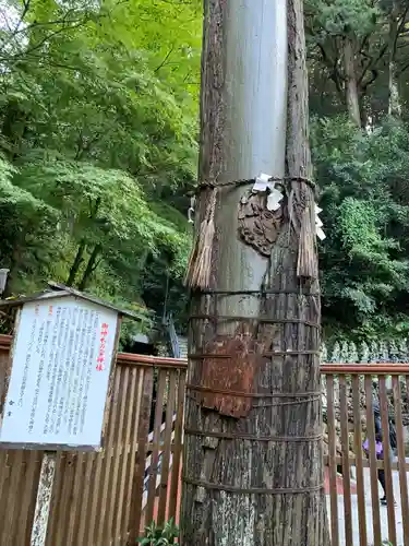 南蔵院(福岡県)