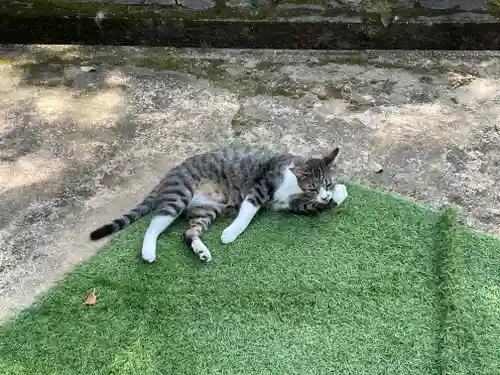 王子神社(徳島県)