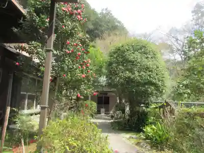 安養寺(京都府)