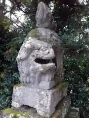 須佐神社の狛犬