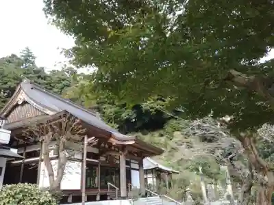稱名寺（称名寺）の本殿・本堂