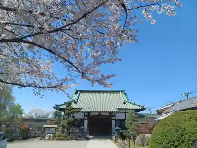 光西寺(埼玉県)