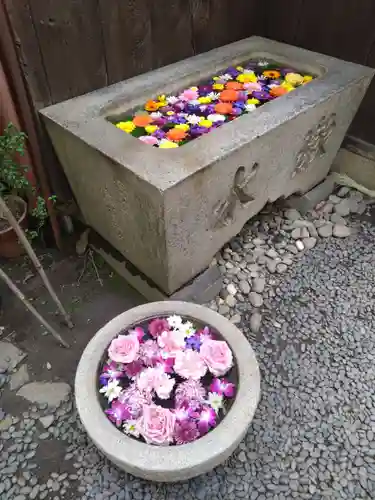 菅生神社(愛知県)