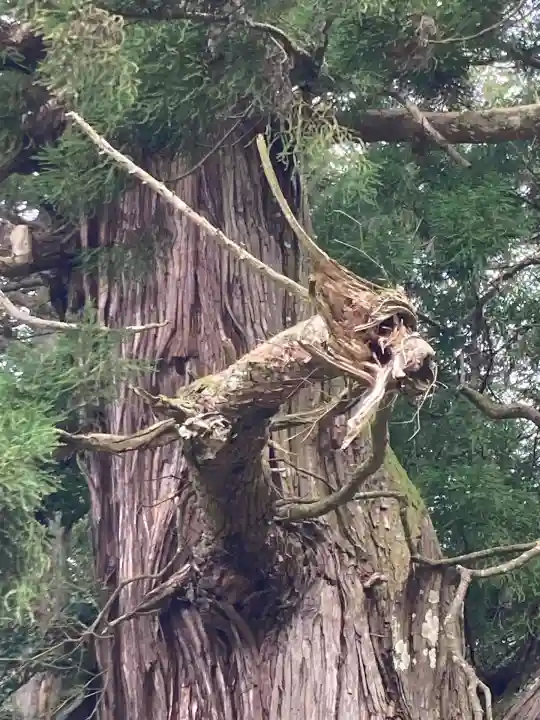 高岡神社(岡山県)