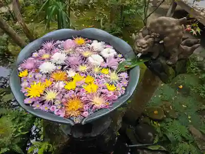 法然院(京都府)