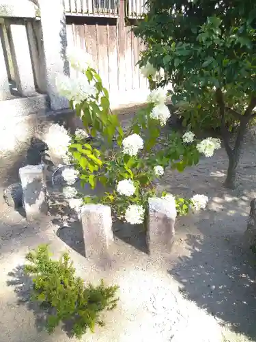 春日神社の自然