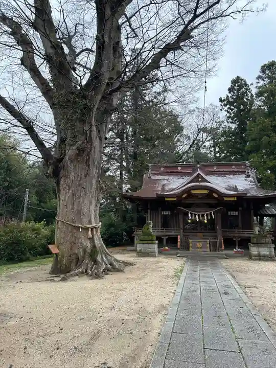 素鵞神社(茨城県)