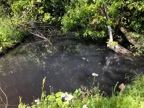 神洗神社のその他建物