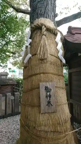 堀越神社の自然