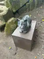 猫神社(鹿児島県)
