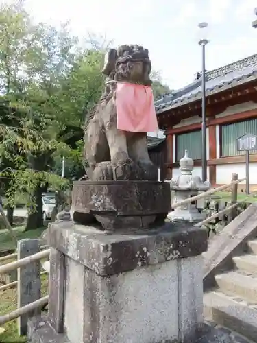 氷室神社の狛犬