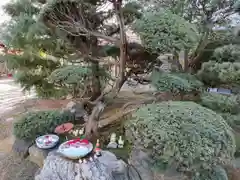 法輪寺の庭園