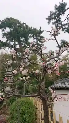 神蔵寺の自然