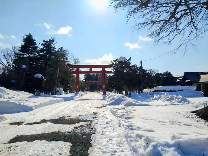 北海道護國神社の鳥居