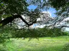 子檀嶺神社(長野県)