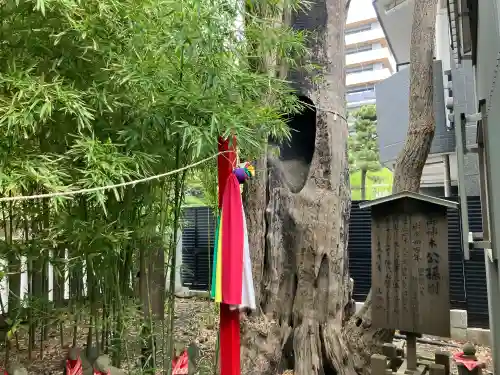 東神奈川熊野神社の{uncategorized: "未分類", other: "その他", undefined: "問題あり", building: "その他建物", grave: "お墓", sacred_gate: "鳥居", guardian: "狛犬", statue: "像", buddha: "仏像", history: "歴史", nature: "自然", garden: "庭園", animal: "動物", pagoda: "塔", temizu: "手水舎", mountain_gate: "山門・神門", sanctuary: "本殿・本堂", subordinate: "末社・摂社", art: "芸術", scenery: "景色", jizo: "地蔵", ema: "絵馬", goshuin: "御朱印", omikuji: "おみくじ", items: "授与品その他", amulet: "お守り", goshuincho: "御朱印帳", eats: "食事", festival: "お祭り", votive_dance: "神楽", shichigosan: "七五三参", wedding: "結婚式", experience: "体験その他", initially: "初詣", around: "周辺", anti_infection: "感染症対策"}