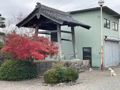 退蔵寺(滋賀県)