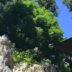 鹿島大神宮の自然