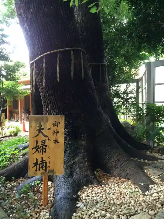 鳩ヶ谷氷川神社(埼玉県)
